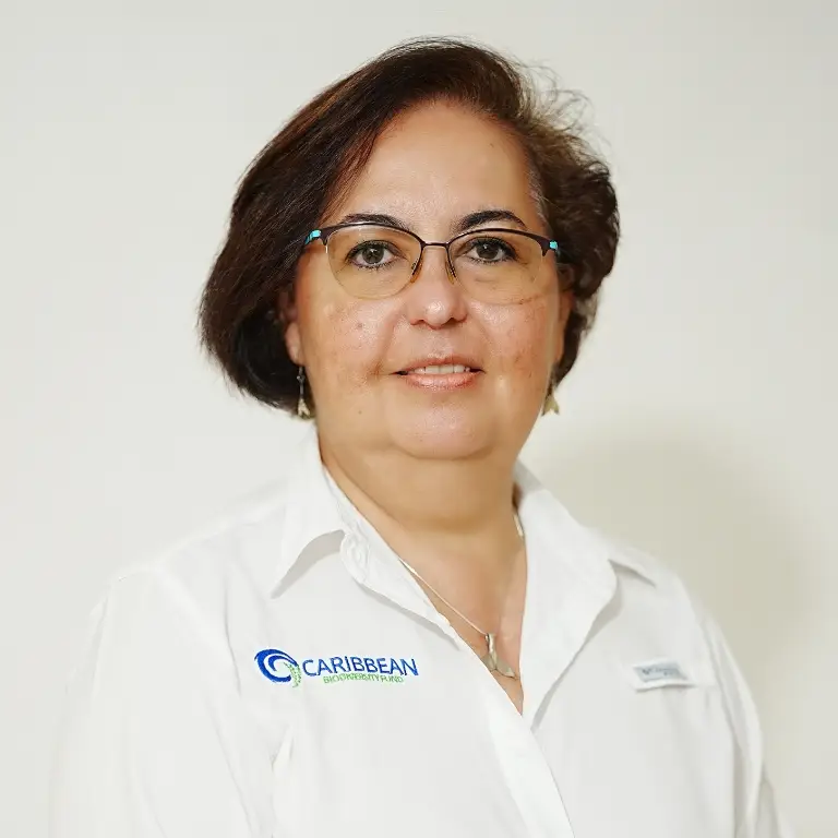 xr:d:DAF5ZyCTh5w:20,j:3871268788947161722,t:24041503