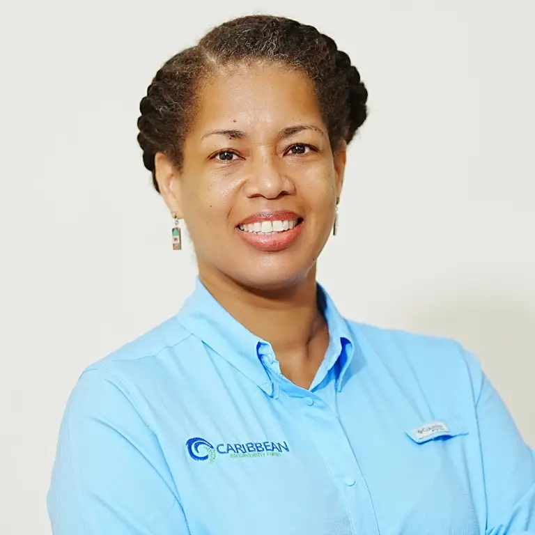 xr:d:DAF5ZyCTh5w:20,j:3871268788947161722,t:24041503