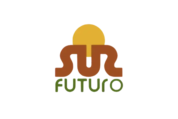 Fundación Sur Futuro Inc. (FSF)
