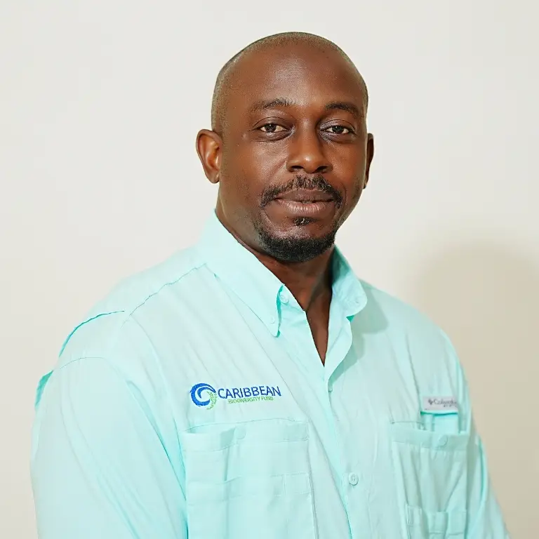 xr:d:DAF5ZyCTh5w:20,j:3871268788947161722,t:24041503