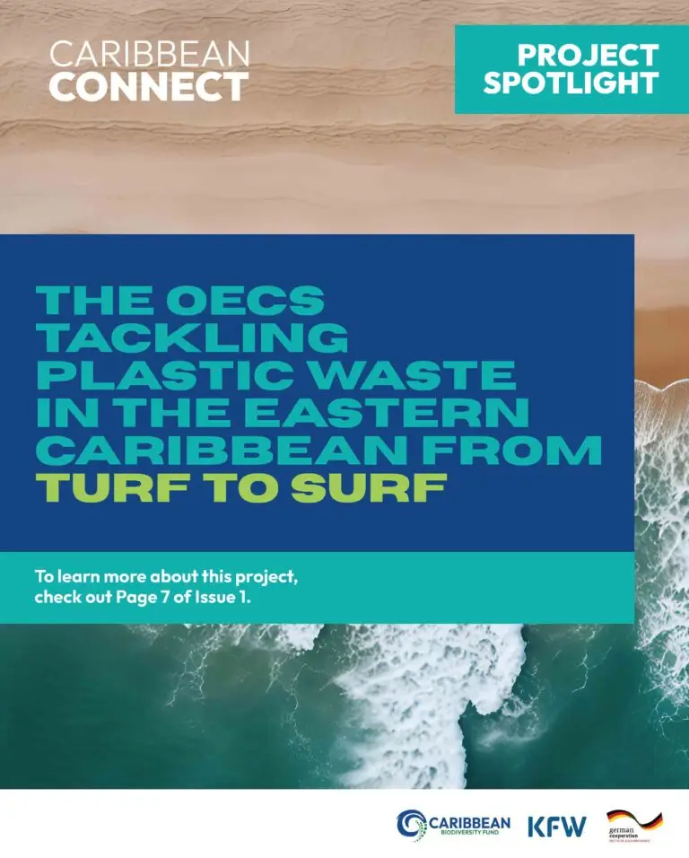 The OECS Tackling Plastic Waste in the Easter Caribbean from Turf to Surf