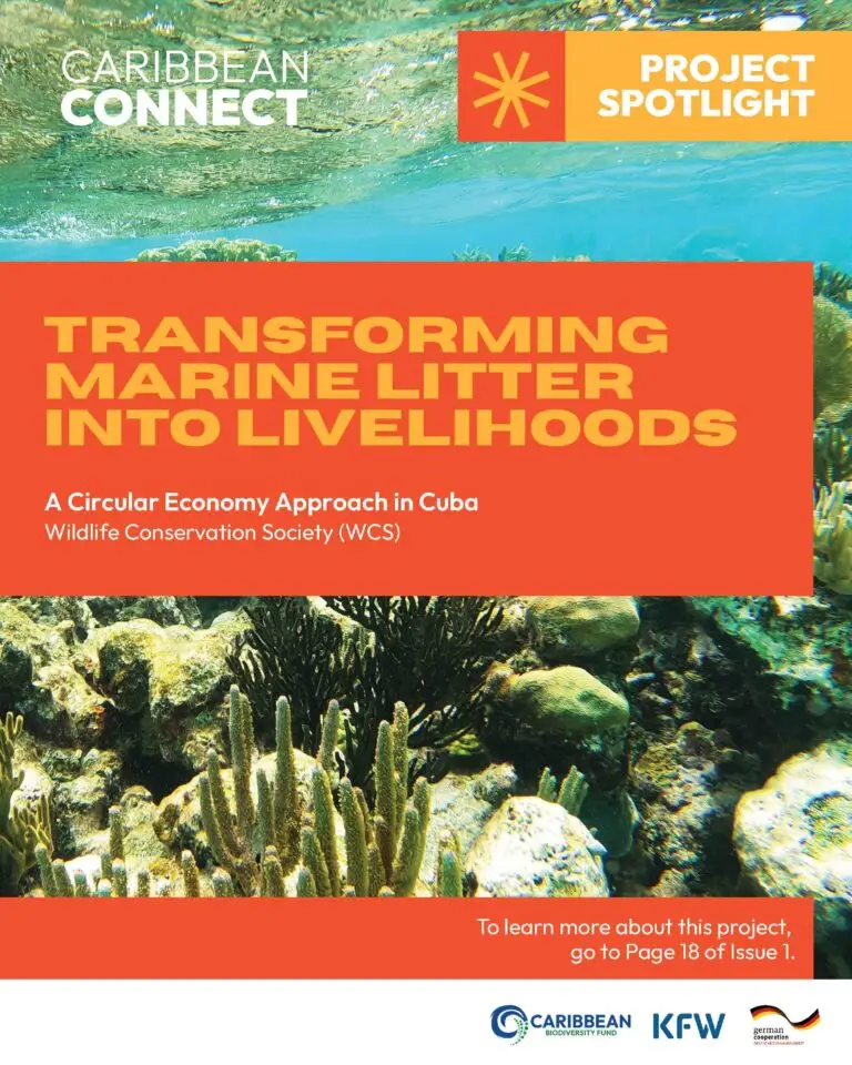 Transforming Marine Litter into Livelihoods