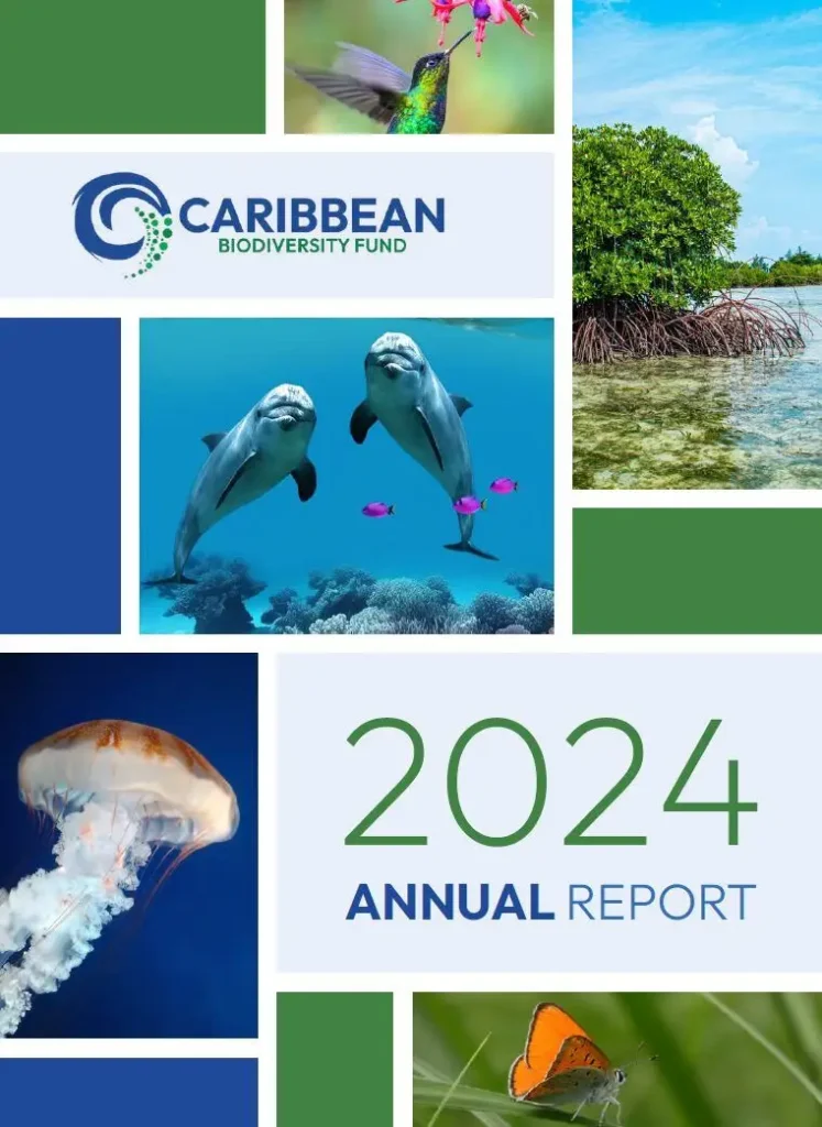 2024 Annual Report