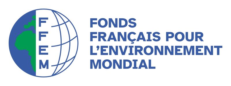 FFEM-Logo