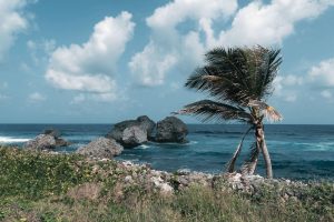 Biophysical Assessment of Legally Declared Marine Protected Areas and Priority Areas Proposed for Designation as Marine Protected Areas and a Situational Analysis of Marine Protected Areas Governance and Management in the Tri-Island State of Grenada