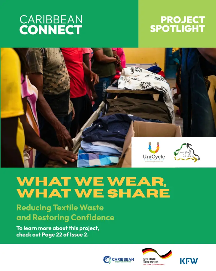 What We Wear, What We Share