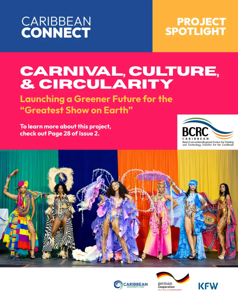 Carnival, Culture and Circularity