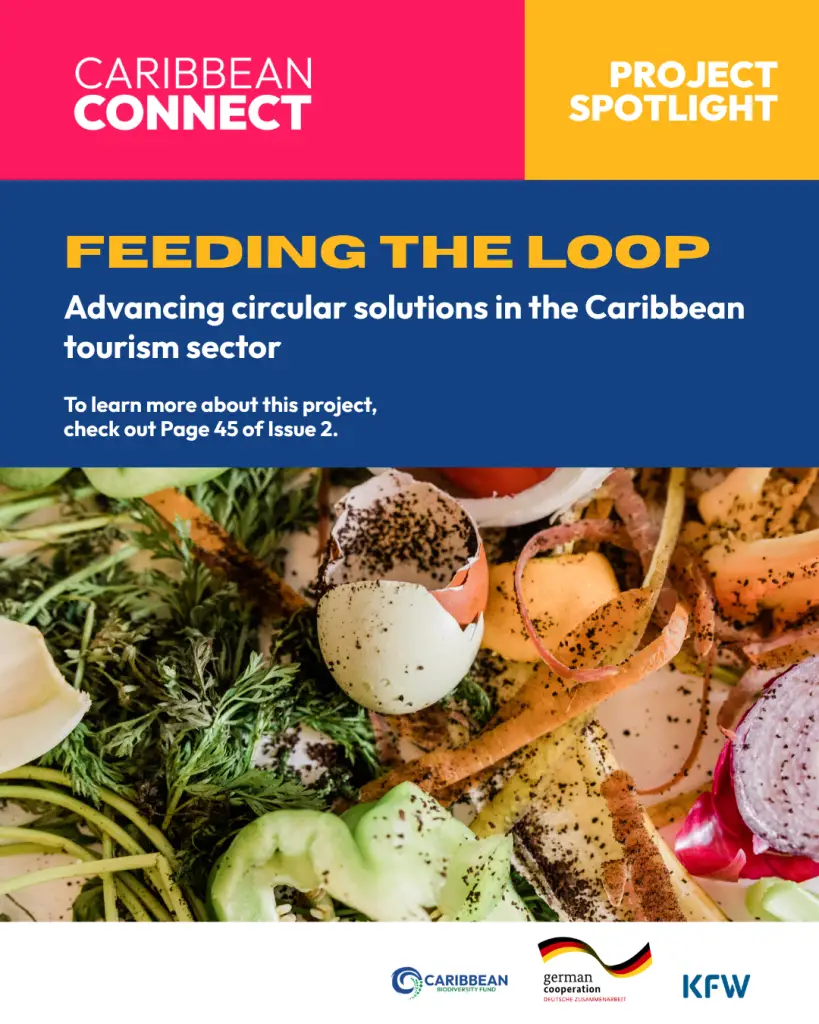 Feeding The Loop
