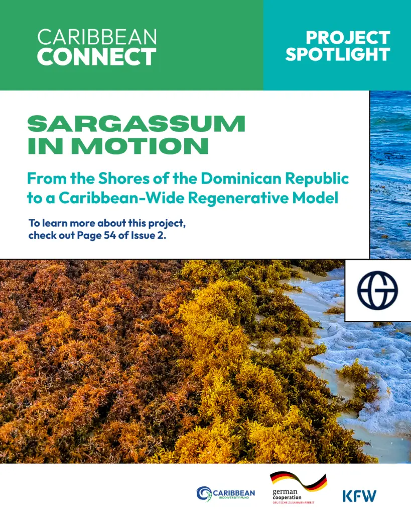 Sargassum in Motion