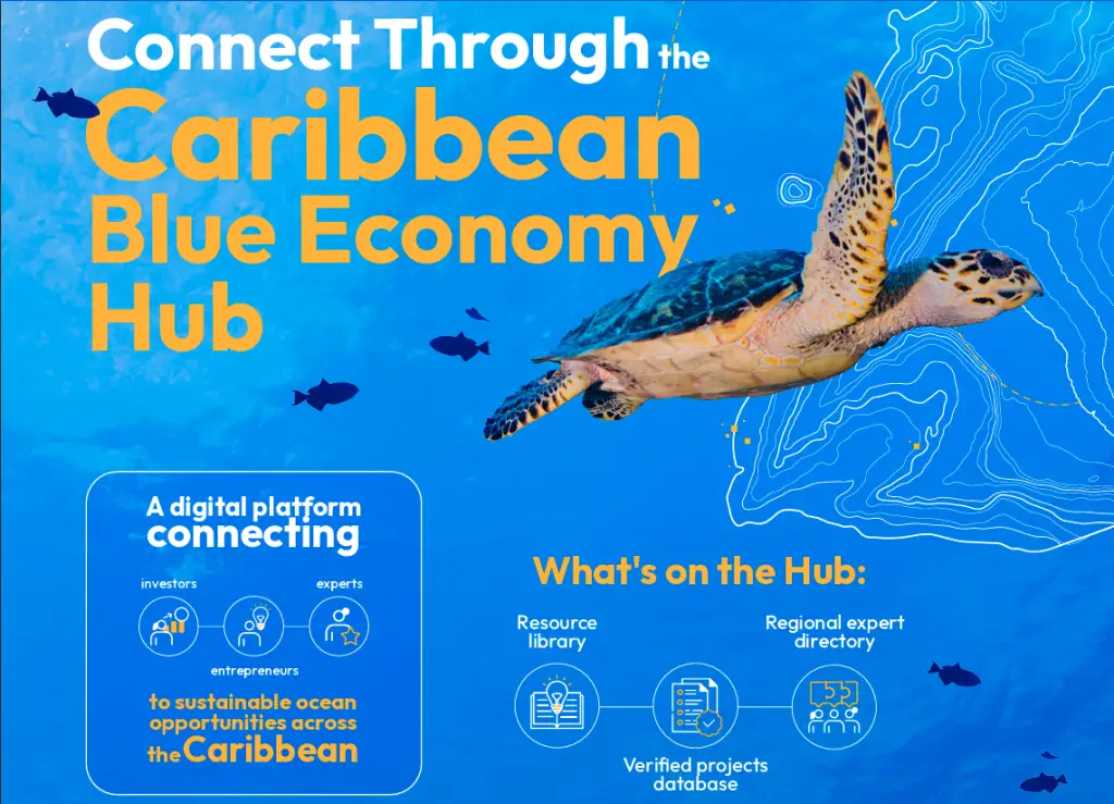 CBF Blue Economy Hub Poster