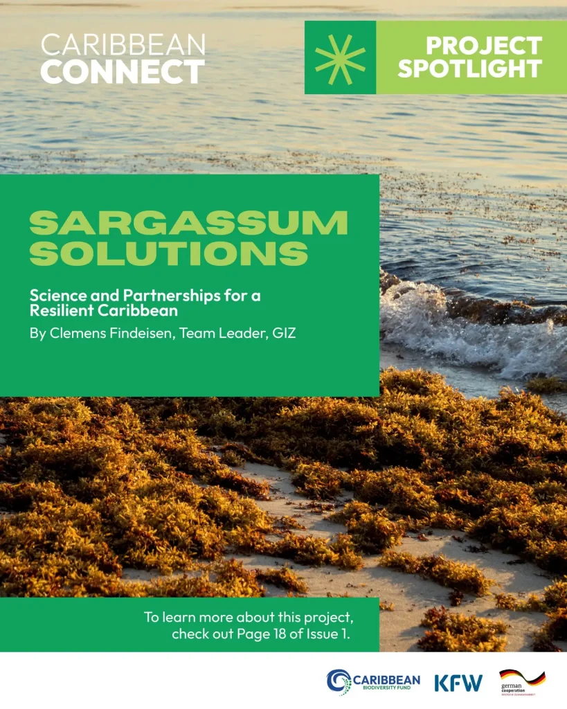 Carousel-5-scaled.webp